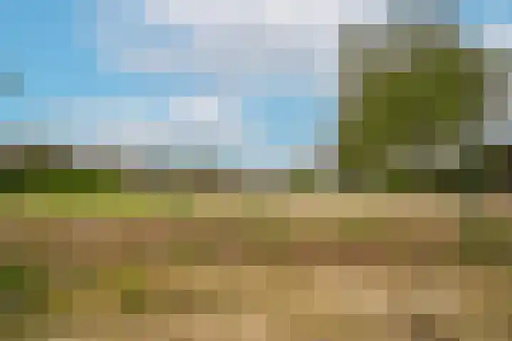 Brouwerskamp 19 Haaften thumbnail 32