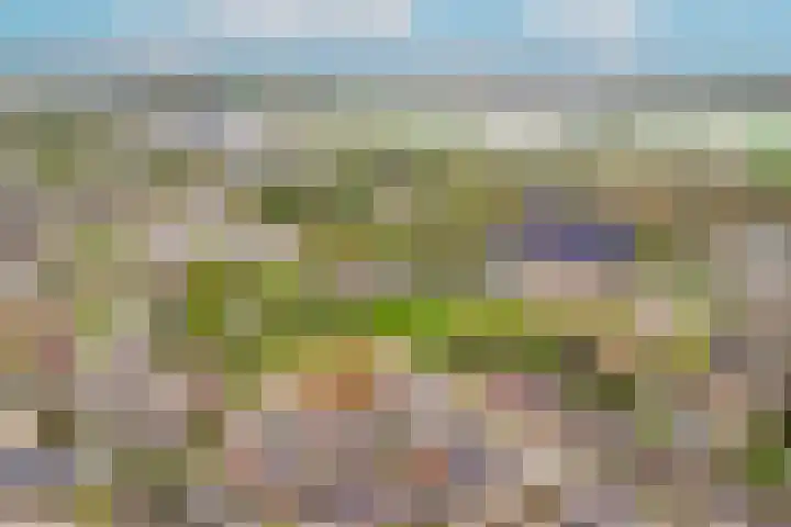 Brouwerskamp 19 Haaften thumbnail 35