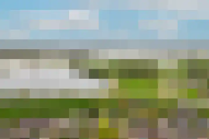 Brouwerskamp 19 Haaften thumbnail 36