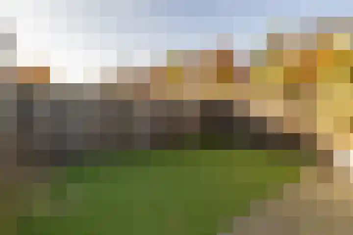 Brouwerskamp 19 Nunspeet thumbnail 10