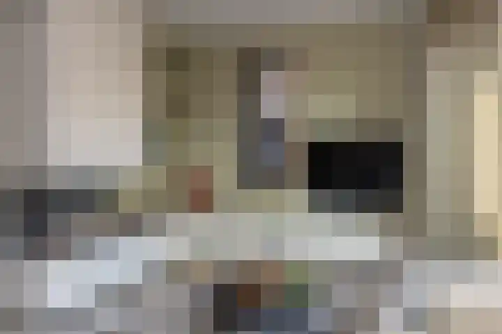 Brouwerskamp 19 Nunspeet thumbnail 17