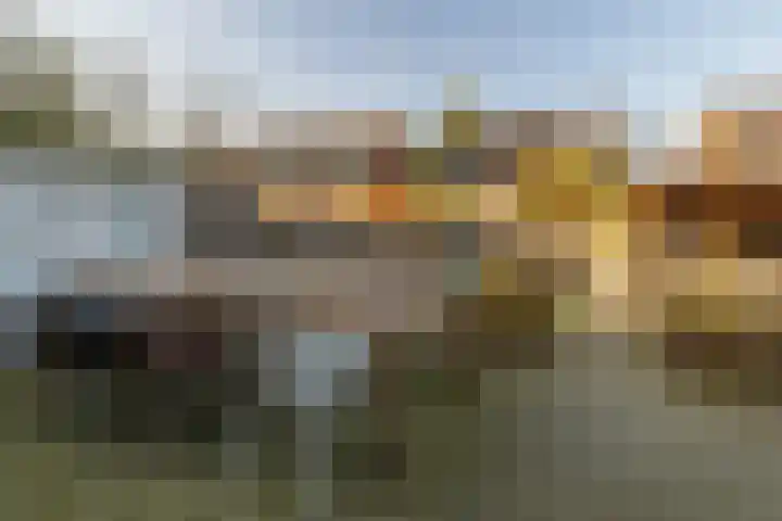 Brouwerskamp 19 Nunspeet thumbnail 40