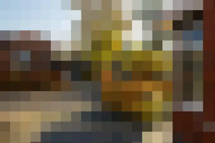 Brouwerskamp 19 Nunspeet thumbnail 5