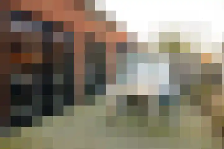 Brouwerskamp 19 Nunspeet thumbnail 8