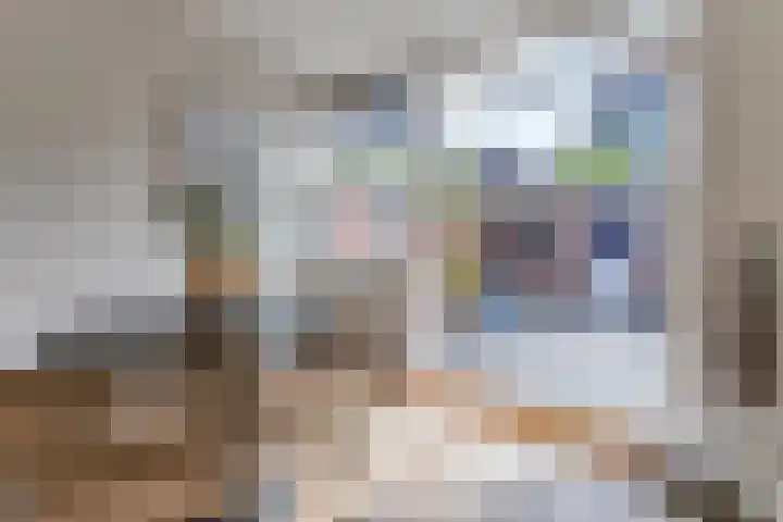 Brouwersstraat 36 Haarlem thumbnail 5