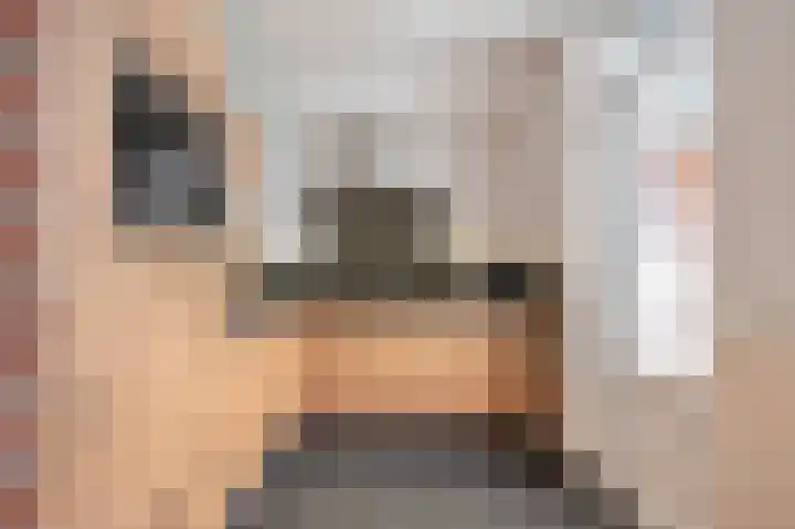 Brouwerstraat 16 Susteren thumbnail 20