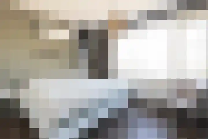 Brouwerstraat 39 Ede thumbnail 4