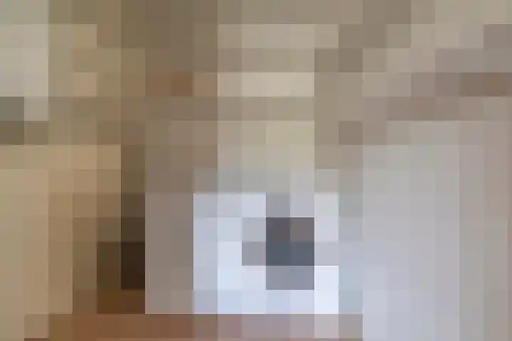 Brouwerstraat 56 Ede thumbnail 10