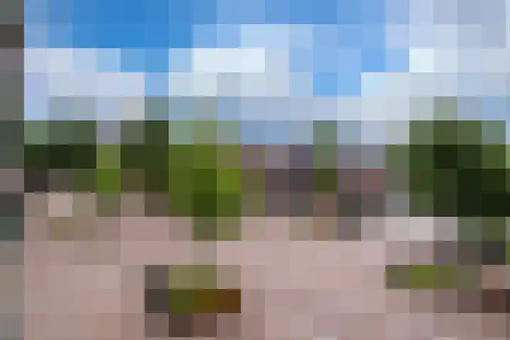 Brouwerstraat 56 Ede thumbnail 13