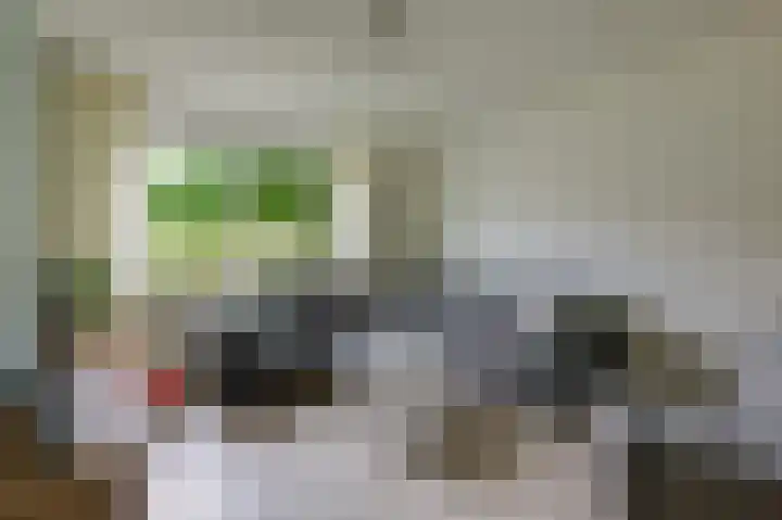 Brouwersveld 22 Wehl thumbnail 16