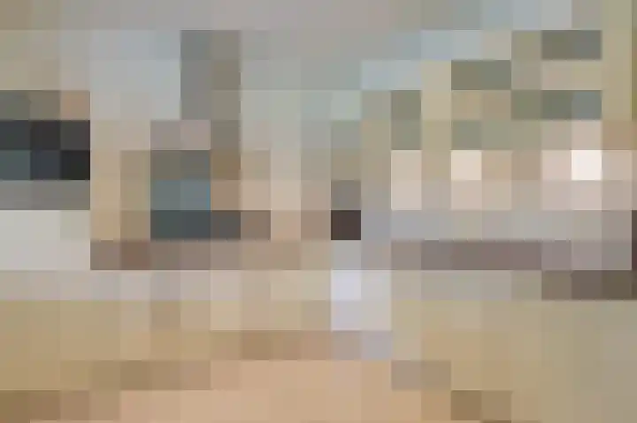 Brouwersveld 22 Wehl thumbnail 20