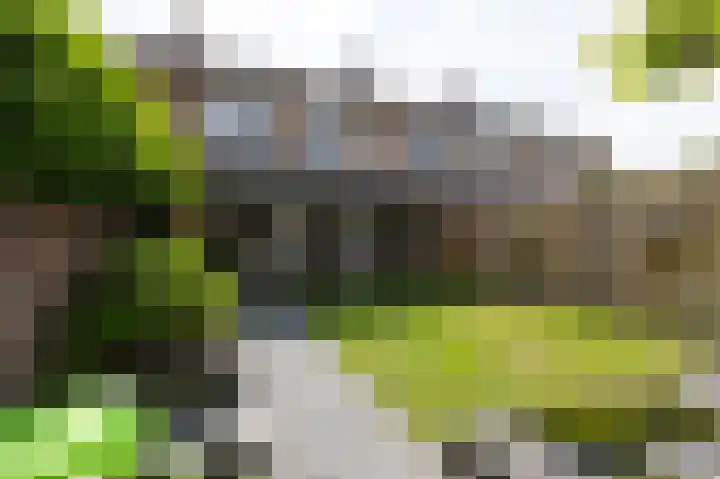 Brouwersveld 22 Wehl thumbnail 22