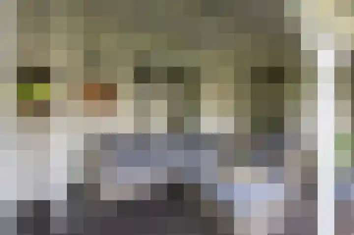 Brouwersveld 22 Wehl thumbnail 24