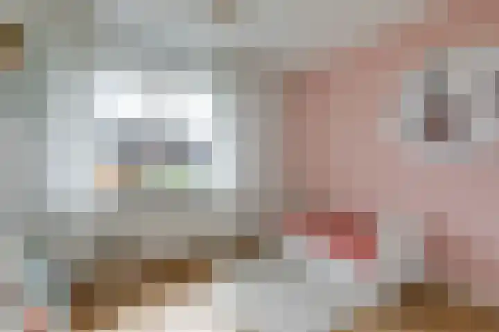Brouwersveld 22 Wehl thumbnail 33