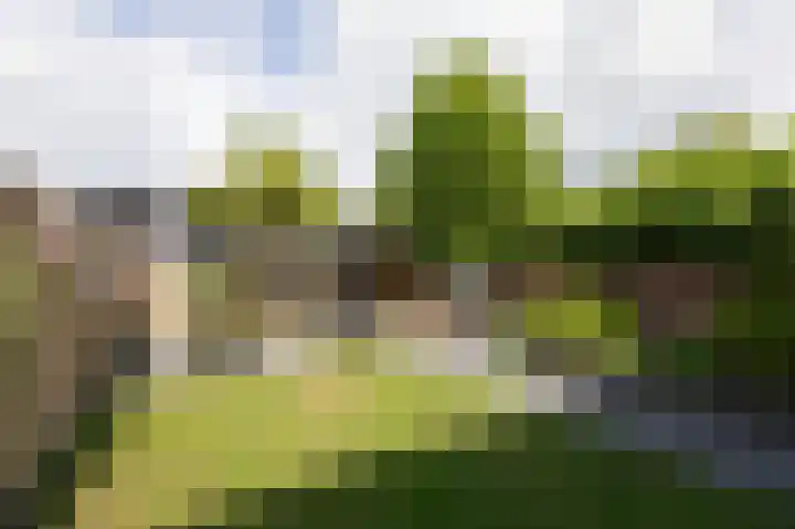 Brouwersveld 22 Wehl thumbnail 4