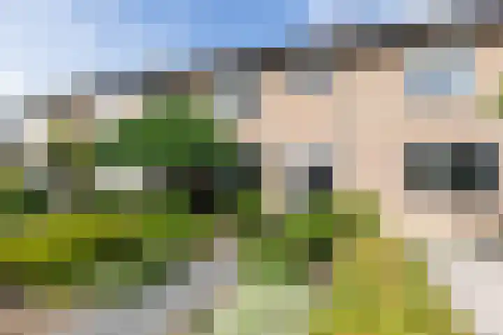 Brouwersveld 22 Wehl thumbnail 53