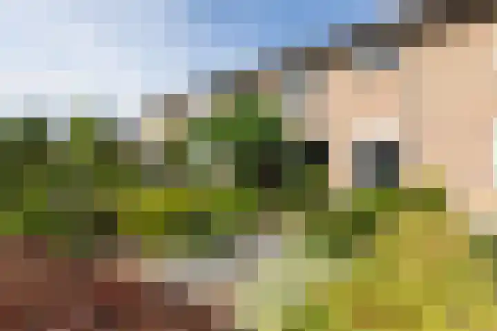 Brouwersveld 22 Wehl thumbnail 8