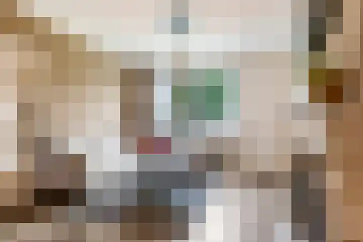 Brouwersveld 26 Wehl thumbnail 16