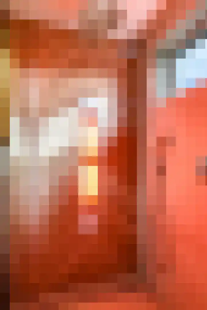 Brouwersveld 26 Wehl thumbnail 29