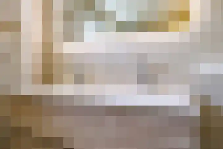 Brouwersveld 26 Wehl thumbnail 30