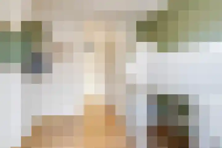 Brouwersveld 26 Wehl thumbnail 33