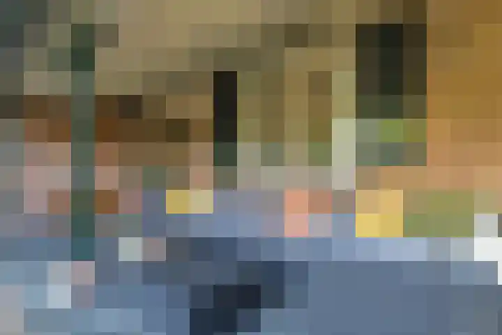 Brouwersveld 26 Wehl thumbnail 42