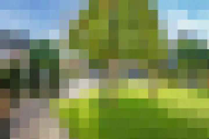 Brouwersveld 26 Wehl thumbnail 55