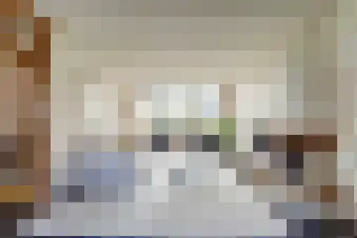 Brucknerlaan 2 Enschede thumbnail 12