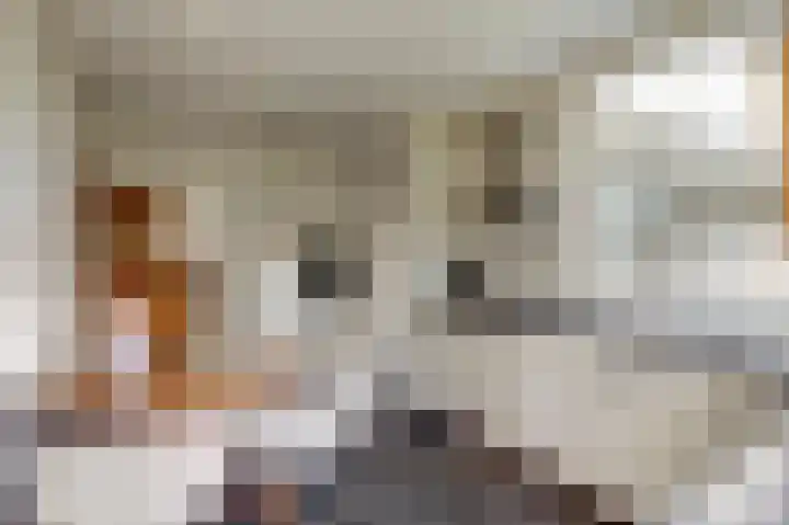 Brucknerlaan 2 Enschede thumbnail 17