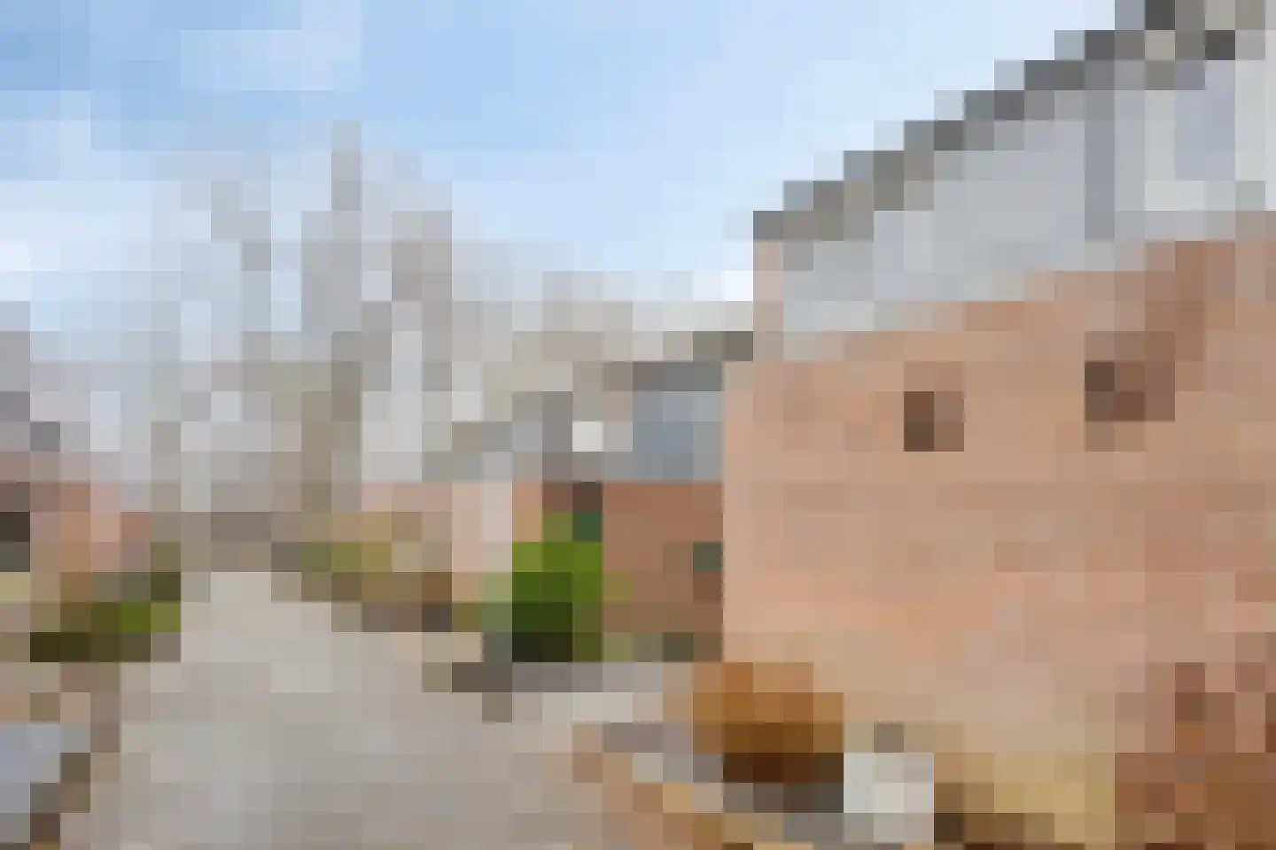 Brucknerlaan 2 Enschede thumbnail 21