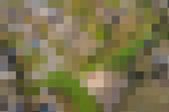Brucknerlaan 2 Enschede thumbnail 5
