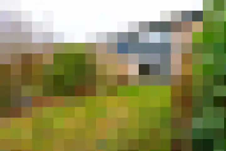 Brugakker 1605 Zeist thumbnail 21