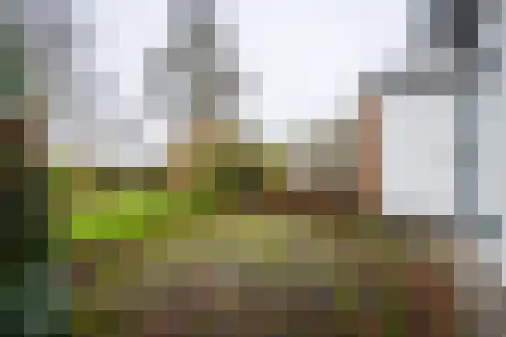 Brugakker 1605 Zeist thumbnail 22