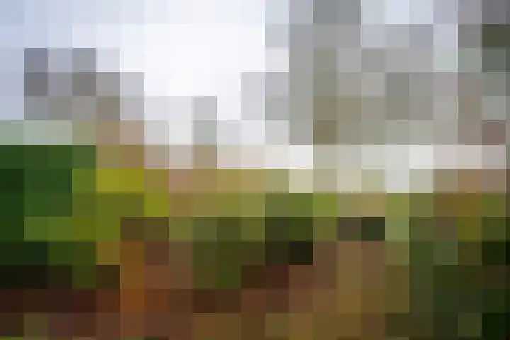 Brugakker 1605 Zeist thumbnail 24