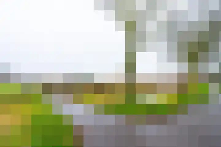 Brugakker 1605 Zeist thumbnail 29