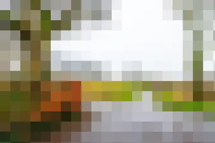 Brugakker 1605 Zeist thumbnail 4