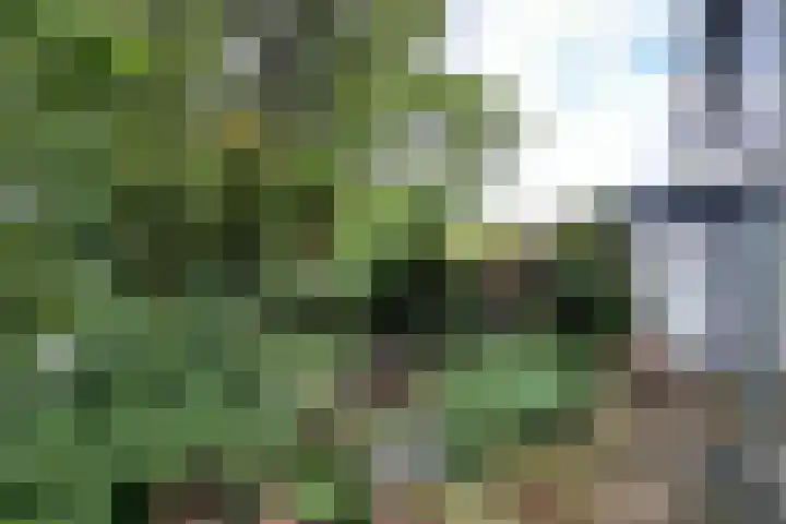 Brugakker 1702 Zeist thumbnail 21