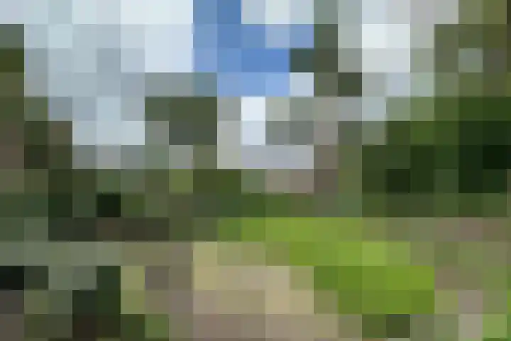Brugakker 1702 Zeist thumbnail 24