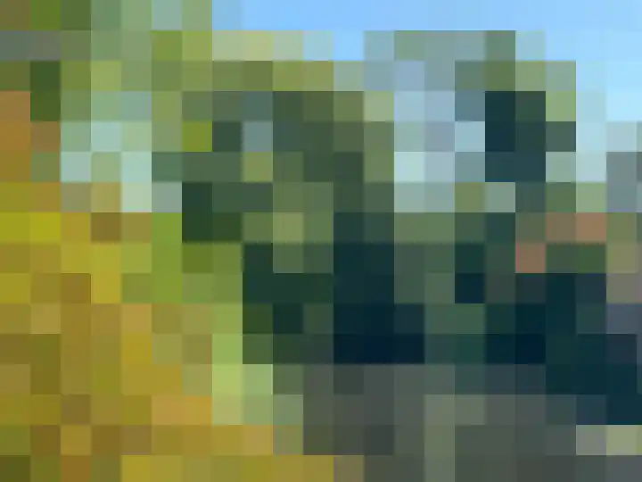 Brugakker 1702 Zeist thumbnail 28