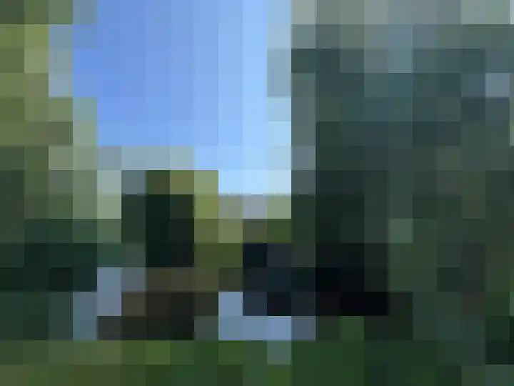 Brugakker 1702 Zeist thumbnail 30