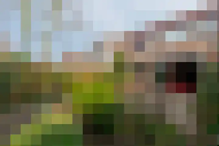 Brugakker 6716 Zeist thumbnail 12