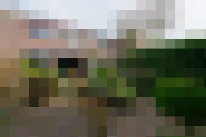 Brugakker 6716 Zeist thumbnail 13