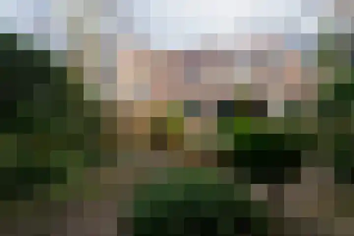 Brugakker 6716 Zeist thumbnail 14