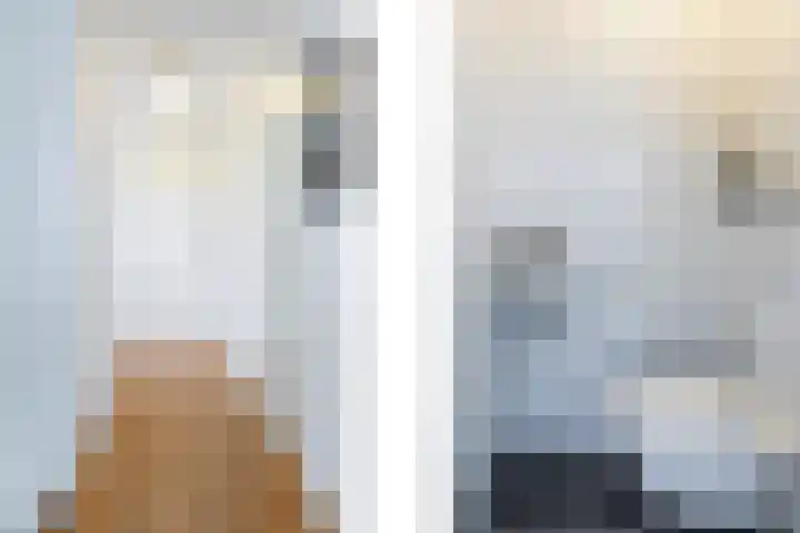 Brugbeemd 8 Waalre thumbnail 16