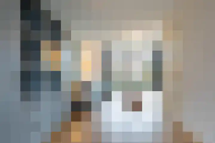 Brugbeemd 8 Waalre foto 3