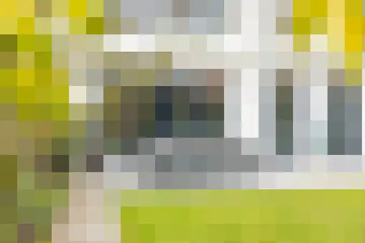 Brugbeemd 8 Waalre thumbnail 39
