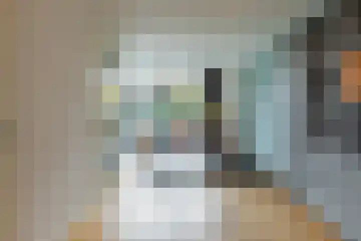 Brugbeemd 8 Waalre thumbnail 8