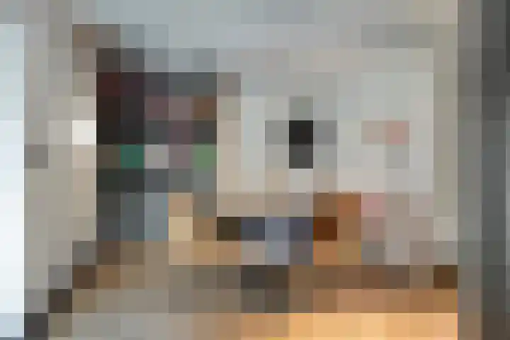 Brugdam 13 Almkerk thumbnail 16