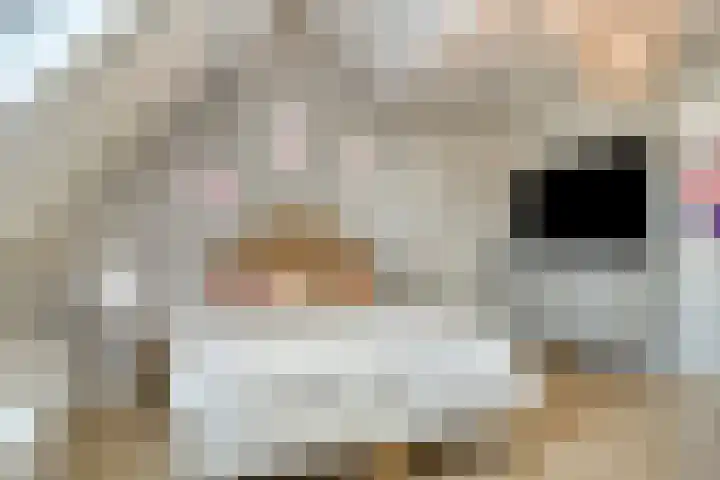 Brugdam 13 Almkerk thumbnail 28