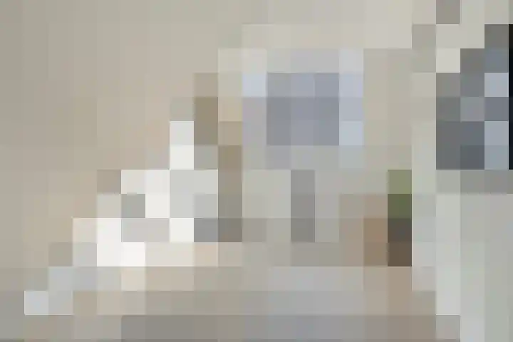 Brugdam 13 Almkerk thumbnail 30